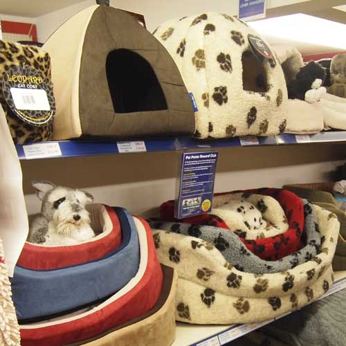 Cat Bedding