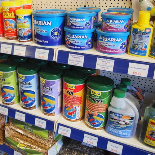 Fish | Pet Food Shop Crowborough Fish | Pet Food Shop Crowborough