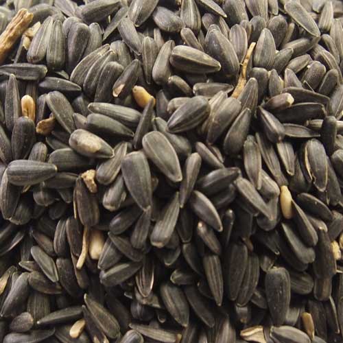 Wildbird Seeds & Peanuts | Pet Food Shop Crowborough Wildbird Seeds & Peanuts | Pet Food Shop Crowborough