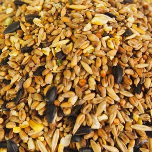 Wildbird Seeds & Peanuts | Pet Food Shop Crowborough Wildbird Seeds & Peanuts | Pet Food Shop Crowborough