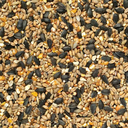 Small Animal Foods & Accessories | Pet Food Shop Crowborough Small Animal Foods & Accessories | Pet Food Shop Crowborough