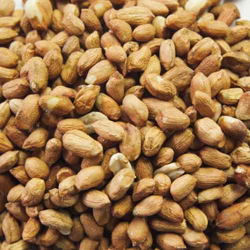 Small Animal Foods & Accessories | Pet Food Shop Crowborough Small Animal Foods & Accessories | Pet Food Shop Crowborough