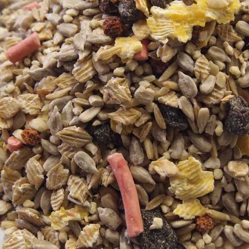 Wildbird Seeds & Peanuts | Pet Food Shop Crowborough Wildbird Seeds & Peanuts | Pet Food Shop Crowborough