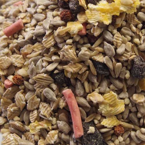 Wildbird Seeds & Peanuts | Pet Food Shop Crowborough