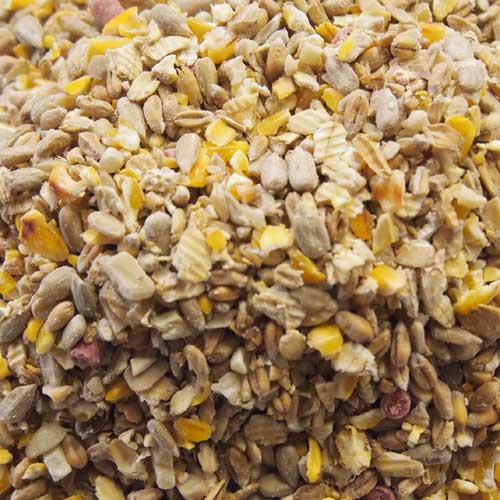 Small Animal Foods & Accessories | Pet Food Shop Crowborough Small Animal Foods & Accessories | Pet Food Shop Crowborough